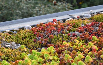 the cost of Corran green roof installation