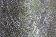 Corran fibreglass roof work